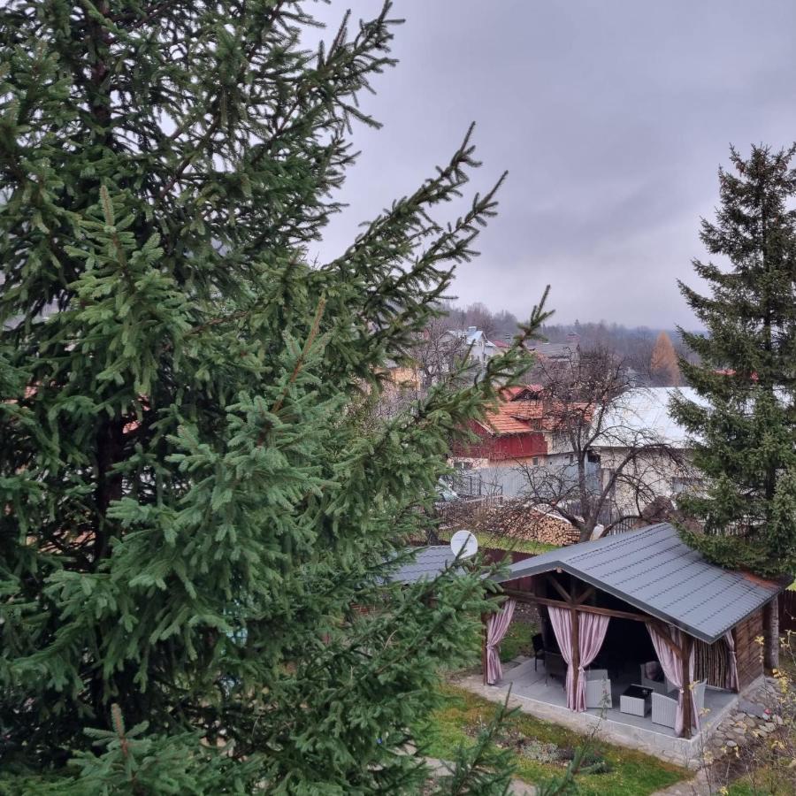 Vila Karina Teşila Zewnętrze zdjęcie